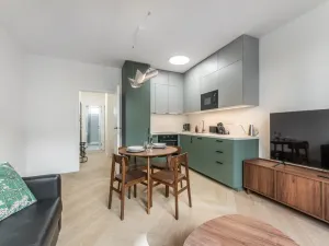 Prodej bytu 2+kk, Praha - Nové Město, Na zbořenci, 41 m2