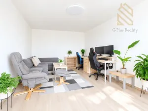 Prodej bytu 2+1, Ústí nad Labem - Střekov, Tolstého, 62 m2