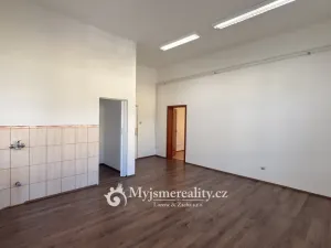 Pronájem ordinace, Znojmo, Kotkova, 46 m2