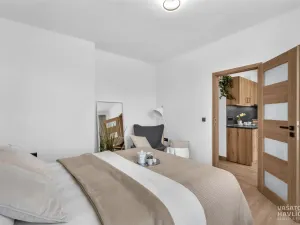 Prodej bytu 2+1, Hradec Králové, třída SNP, 50 m2