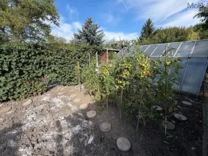 Prodej zahrady, Obrnice - České Zlatníky, 302 m2