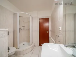 Prodej rodinného domu, Brno, Hálkova, 200 m2