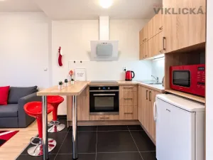 Pronájem bytu 1+kk, Brno - Starý Lískovec, U Leskavy, 33 m2