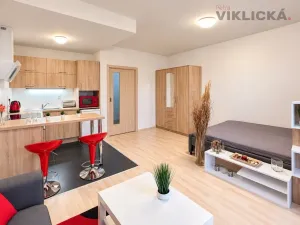 Pronájem bytu 1+kk, Brno - Starý Lískovec, U Leskavy, 33 m2