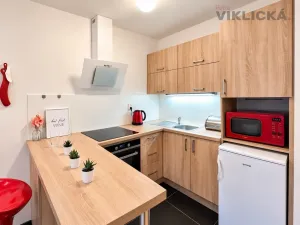 Pronájem bytu 1+kk, Brno - Starý Lískovec, U Leskavy, 33 m2