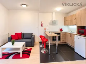 Pronájem bytu 1+kk, Brno - Starý Lískovec, U Leskavy, 33 m2