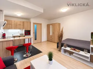 Pronájem bytu 1+kk, Brno - Starý Lískovec, U Leskavy, 33 m2