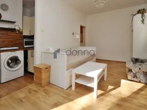 Pronájem bytu 1+kk, Praha, Michelangelova, 21 m2