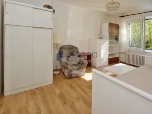 Pronájem bytu 1+kk, Praha, Michelangelova, 23 m2