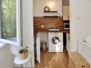 Pronájem bytu 1+kk, Praha, Michelangelova, 23 m2