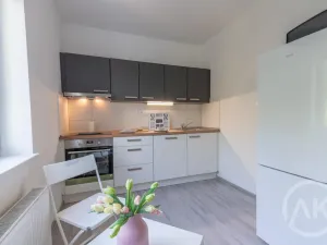 Pronájem bytu 2+1, Ostrava - Vítkovice, Erbenova, 51 m2