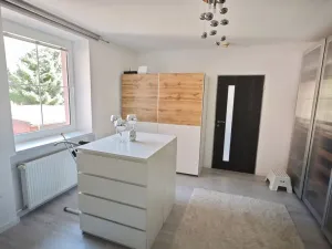 Pronájem bytu 6+kk a větší, Praha, U Cikánky, 162 m2