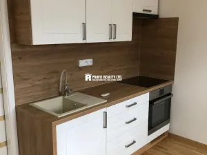 Pronájem bytu 1+kk, Praha - Krč, Štúrova, 20 m2