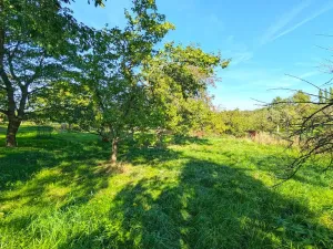 Prodej rodinného domu, Dobřenice, 216 m2