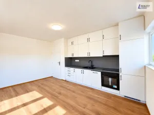 Prodej rodinného domu, Nečín, 500 m2