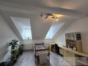 Prodej bytu 2+1, Karlovy Vary, Svahová, 61 m2