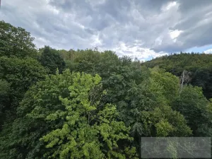 Prodej bytu 2+1, Karlovy Vary, Svahová, 61 m2