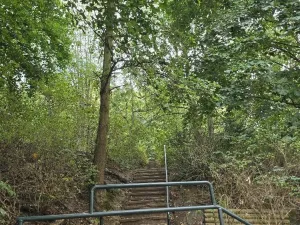 Prodej bytu 2+1, Karlovy Vary, Svahová, 61 m2