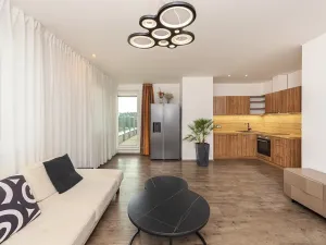 Prodej bytu 2+kk, Plzeň, U Velkého rybníka, 80 m2