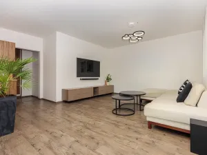 Prodej bytu 2+kk, Plzeň, U Velkého rybníka, 80 m2