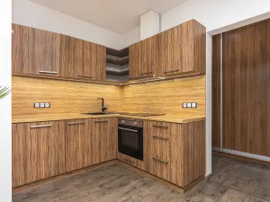 Prodej bytu 2+kk, Plzeň, U Velkého rybníka, 80 m2