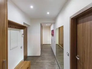 Prodej bytu 2+kk, Plzeň, U Velkého rybníka, 80 m2