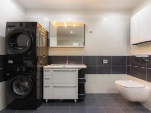 Prodej bytu 2+kk, Plzeň, U Velkého rybníka, 80 m2