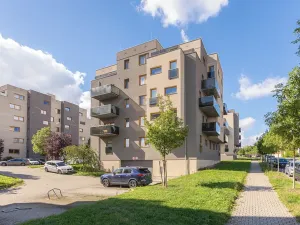 Prodej bytu 2+kk, Plzeň, U Velkého rybníka, 80 m2