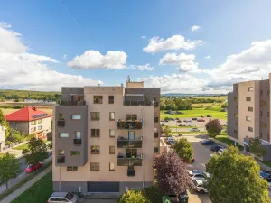 Prodej bytu 2+kk, Plzeň, U Velkého rybníka, 80 m2