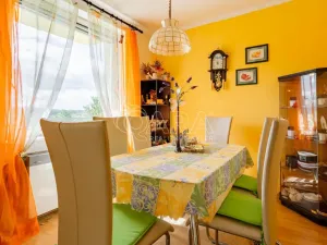 Prodej rodinného domu, Bukovany, 279 m2