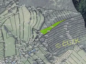 Prodej lesa, Hartinkov, 8121 m2