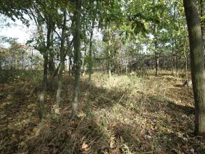 Prodej pozemku, Dolní Břežany, Keltská, 3508 m2