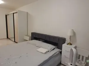 Pronájem bytu 2+kk, Praha - Žižkov, Šrámkové, 119 m2