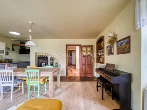 Prodej vícegeneračního domu, Pavlov, 354 m2