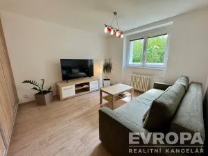 Pronájem bytu 1+1, Plzeň - Jižní Předměstí, Raisova, 30 m2