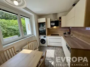 Pronájem bytu 1+1, Plzeň - Jižní Předměstí, Raisova, 30 m2