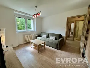 Pronájem bytu 1+1, Plzeň - Jižní Předměstí, Raisova, 30 m2