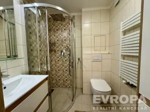 Pronájem bytu 1+1, Plzeň - Jižní Předměstí, Raisova, 30 m2