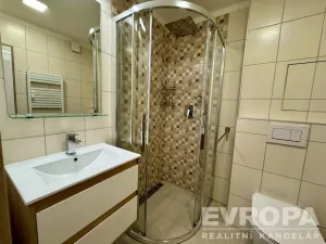 Pronájem bytu 1+1, Plzeň - Jižní Předměstí, Raisova, 30 m2