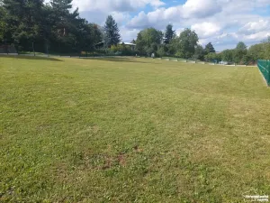 Prodej pozemku pro bydlení, Divišov, Třemošnická, 1702 m2