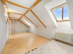 Prodej apartmánu, Pelhřimov, 350 m2