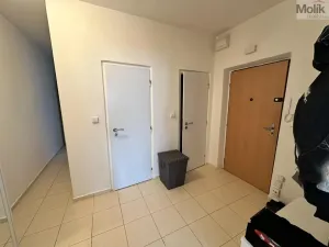 Prodej bytu 2+1, Most, Zdeňka Fibicha, 56 m2