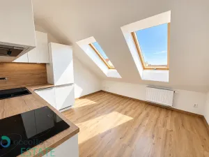 Prodej bytu 2+kk, Praha, Seifertova, 40 m2
