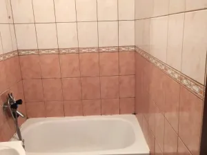 Pronájem bytu 1+1, Ostrava - Výškovice, 39 m2