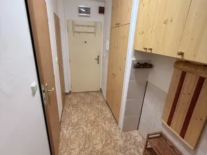 Prodej bytu 2+1, Přerov, nábř. Protifašistických bojovníků, 54 m2