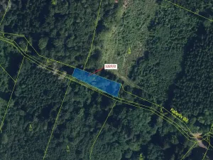 Dražba lesa, Horní Studénky, 860 m2