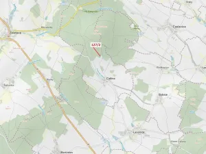 Dražba lesa, Cidlina, 1615 m2
