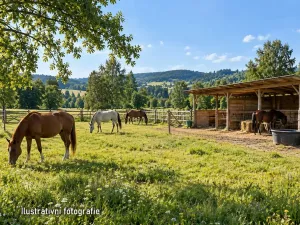 Prodej komerčního pozemku, Bystřice, 22458 m2