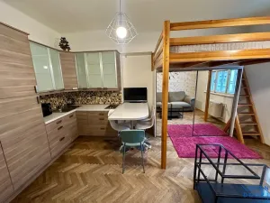 Pronájem bytu 1+kk, Praha - Žižkov, Krásova, 26 m2