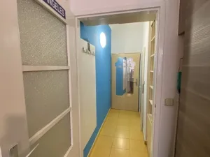 Pronájem bytu 1+kk, Praha - Žižkov, Krásova, 26 m2